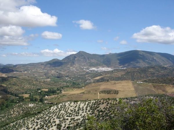 Senderismo entre Viñedos y Montañas: Descubriendo la Belleza de Zahara de la Sierra, Cádiz, desde La Bodega Sierra de Grazalema