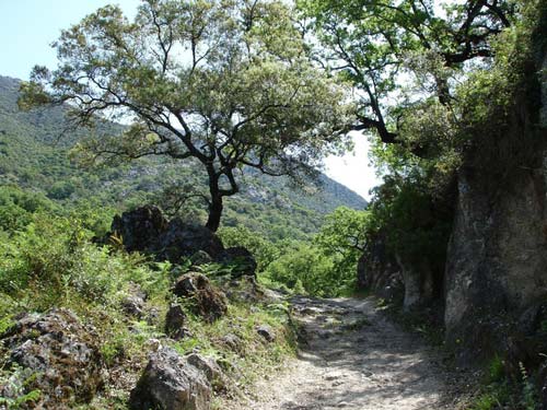 Sendero El Tesorillo: Descubre la belleza de la Sierra de Grazalema