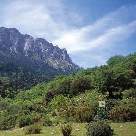 Parque Natural de la Sierra de Grazalema; Nuestra guía de ocio y disfrute de los Pueblos Blancos en la Sierra de Cádiz