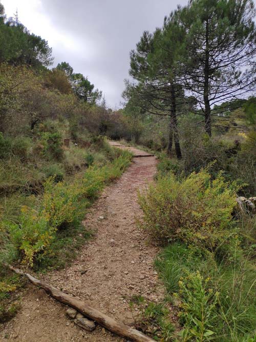 Senderos que precisan autorización administrativa – Parque Natural Sierra de Grazalema