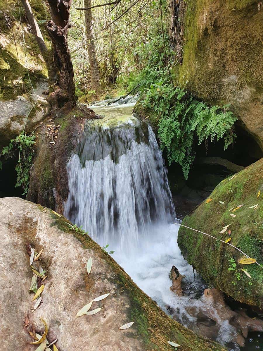 Explorando la Naturaleza: Las mejores rutas de Senderismo en El Bosque, Andalucía (España)