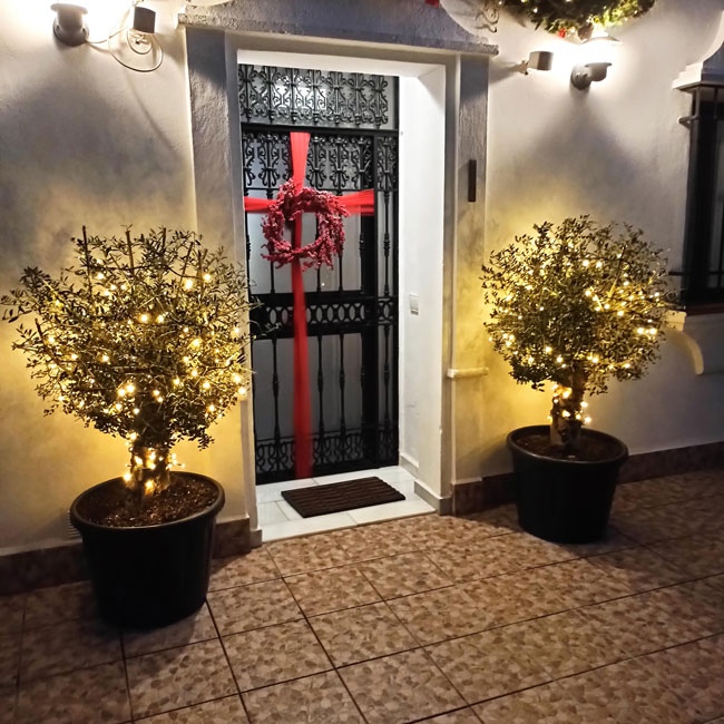 Navidad en la Sierra de Cádiz: Qué Hacer y Dónde Alojarte